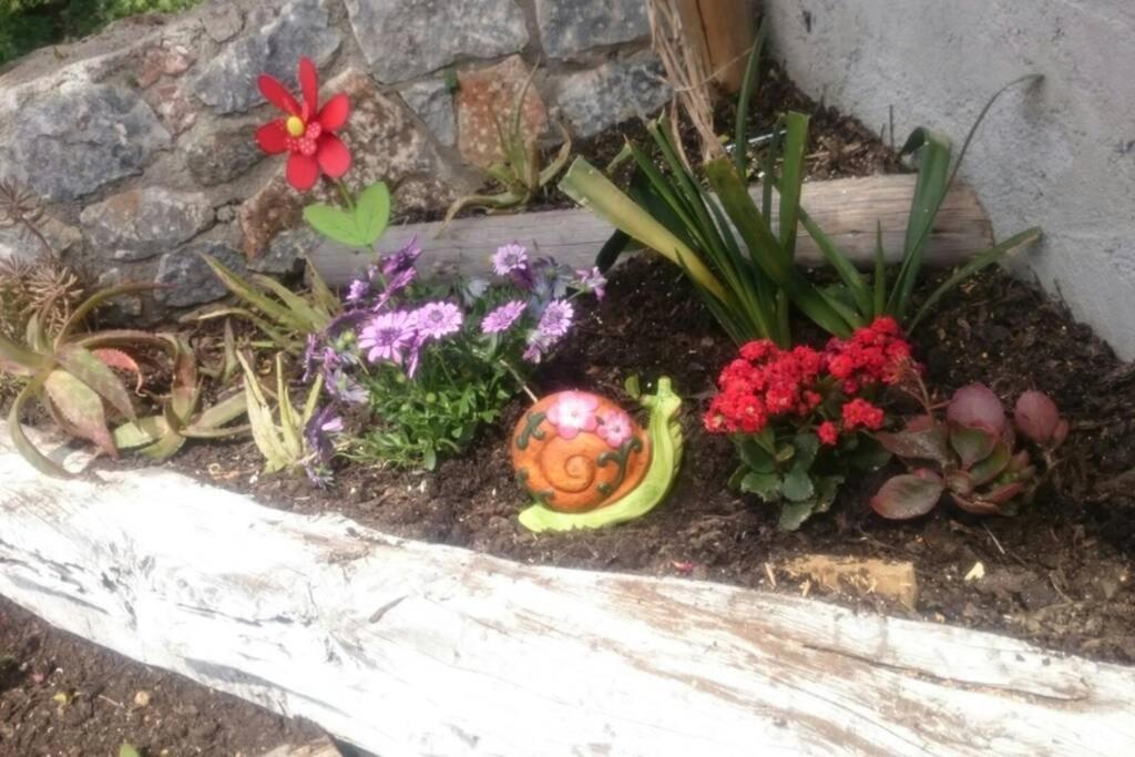 Nemesis Paleochora Daire Hanya Dış mekan fotoğraf